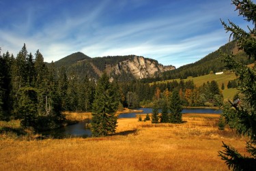 佛山顺德区民间私贷攻略：揭秘低成本借贷的秘密