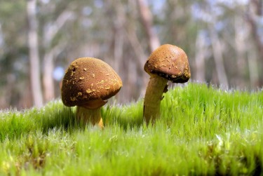 佛山顺德区私人老板放款：轻松融资的秘密通道